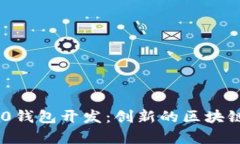 全面解析Tokenim 2.0钱包开发：创新的区块链解决方