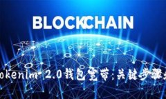 如何获取Tokenim 2.0钱包宽带：关键步骤和技巧详解