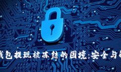 如何应对虚拟币钱包提现被冻结的困境：安全与