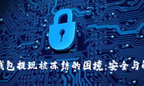 如何应对虚拟币钱包提现被冻结的困境：安全与解决方案全面解析
