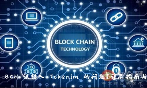 如何解决 BCH 误转入 Tokenim 的问题？详尽指南与解决方案