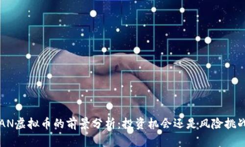 CAN虚拟币的前景分析：投资机会还是风险挑战？