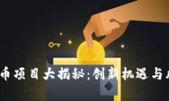2023年虚拟币项目大揭秘：创新机遇与风险挑战并