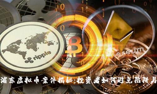 上海浦东虚拟币案件揭秘：投资者如何避免陷阱与风险