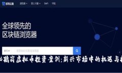 揭秘鹤岗虚拟币投资案例：新兴市场中的机遇与