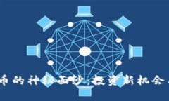 揭开1BFS虚拟币的神秘面纱：投资新机会与潜在风