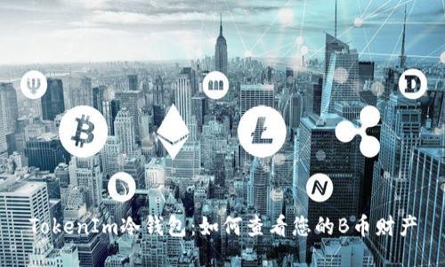 TokenIm冷钱包：如何查看您的B币财产