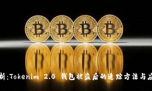 全面解析：Tokenim 2.0 钱包被盗后的追踪方法与应对策略