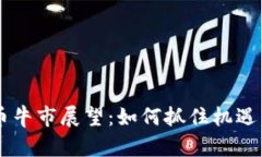 2024年虚拟币牛市展望：如何抓住机遇，实现财富