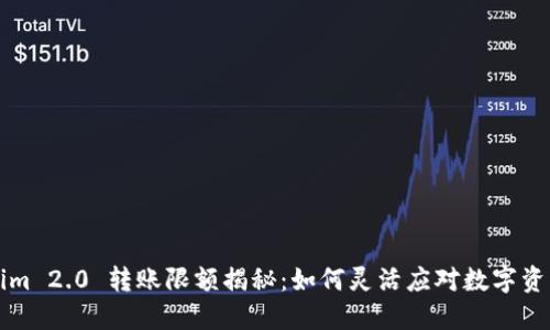 Tokenim 2.0 转账限额揭秘：如何灵活应对数字资产交易